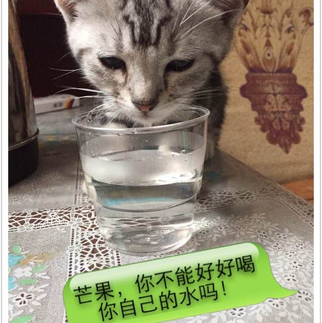 纽约州立大学理工科文凭证书